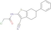 2-Chloro-N-(3-cyano-6-phenyl-4,5,6,7-tetrahydro-1-benzothien-2-yl)acetamide