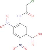 5-[(Chloroacetyl)amino]-2,4-dinitrobenzoic acid