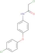 2-Chloro-N-[4-(4-chlorophenoxy)phenyl]acetamide