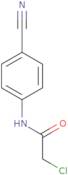 2-Chloro-N-(4-cyanophenyl)acetamide