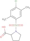 1-[(4-Chloro-2,5-dimethylphenyl)sulfonyl]proline