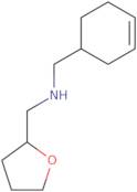 (Cyclohex-3-en-1-ylmethyl)(tetrahydrofuran-2-ylmethyl)amine