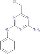 6-(Chloromethyl)-N-phenyl-1,3,5-triazine-2,4-diamine