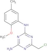 6-(Chloromethyl)-N-(2-methoxy-5-methylphenyl)-1,3,5-triazine-2,4-diamine