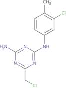 6-(Chloromethyl)-N-(3-chloro-4-methylphenyl)-1,3,5-triazine-2,4-diamine