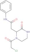 2-[1-(Chloroacetyl)-3-oxopiperazin-2-yl]-N-phenylacetamide