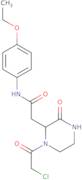 2-[1-(Chloroacetyl)-3-oxopiperazin-2-yl]-N-(4-ethoxyphenyl)acetamide