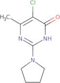 5-Chloro-6-methyl-2-pyrrolidin-1-ylpyrimidin-4(1H)-one