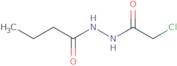 N'-(2-Chloroacetyl)butanohydrazide