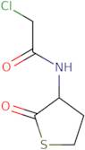 2-Chloro-N-(2-oxotetrahydro-3-thienyl)acetamide
