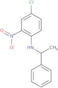 (4-Chloro-2-nitrophenyl)(1-phenylethyl)amine