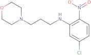 (5-Chloro-2-nitrophenyl)(3-morpholin-4-ylpropyl)amine