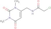 2-Chloro-N-[(1,3-dimethyl-2,6-dioxo-1,2,3,6-tetrahydropyrimidin-4-yl)methyl]acetamide