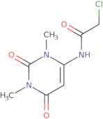 2-Chloro-N-(1,3-dimethyl-2,6-dioxo-1,2,3,6-tetrahydropyrimidin-4-yl)acetamide