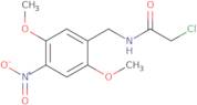 2-Chloro-N-(2,5-dimethoxy-4-nitrobenzyl)acetamide