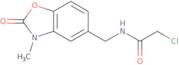 2-Chloro-N-[(3-methyl-2-oxo-2,3-dihydro-1,3-benzoxazol-5-yl)methyl]acetamide