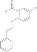 (4-Chloro-2-nitrophenyl)(2-phenylethyl)amine