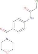 2-Chloro-N-[4-(morpholin-4-ylcarbonyl)phenyl]acetamide