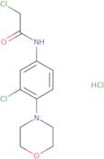 2-Chloro-N-(3-chloro-4-morpholin-4-ylphenyl)acetamide hydrochloride