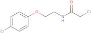 2-Chloro-N-[2-(4-chlorophenoxy)ethyl]acetamide