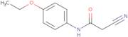 2-Cyano-N-(4-ethoxyphenyl)acetamide
