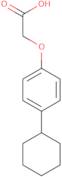 (4-Cyclohexylphenoxy)acetic acid