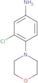 (3-Chloro-4-morpholin-4-ylphenyl)amine
