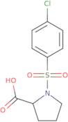 1-[(4-Chlorophenyl)sulfonyl]proline