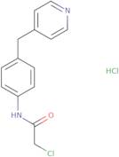 2-Chloro-N-[4-(pyridin-4-ylmethyl)phenyl]acetamide hydrochloride