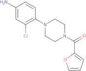 {3-Chloro-4-[4-(2-furoyl)piperazin-1-yl]phenyl}amine