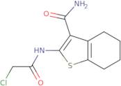 2-[(Chloroacetyl)amino]-4,5,6,7-tetrahydro-1-benzothiophene-3-carboxamide