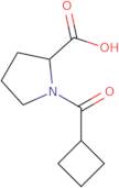 1-(Cyclobutylcarbonyl)proline