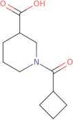 1-(Cyclobutylcarbonyl)piperidine-3-carboxylic acid
