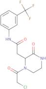 2-[1-(Chloroacetyl)-3-oxopiperazin-2-yl]-N-[3-(trifluoromethyl)phenyl]acetamide