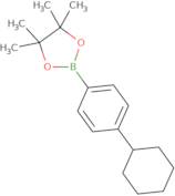 2-(4-Cyclohexylphenyl)-4,4,5,5-tetramethyl-1,3,2-dioxaborolane