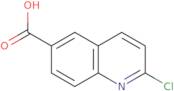 2-Chloroquinoline-6-carboxylic acid