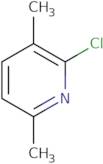 2-Chloro-3,6-dimethylpyridine