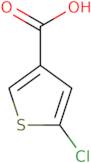 5-Chlorothiophene-3-carboxylic acid