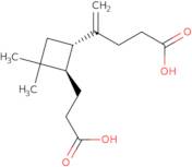 β-Caryophyllinic Acid