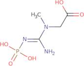 Creatine phosphate