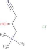 L-Carnitinenitrile chloride