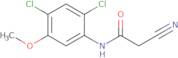 2-Cyano-N-(2,4-dichloro-5-methoxyphenyl)acetamide
