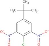 2-Chloro-5-(1,1-dimethylethyl)-1,3-dinitrobenzene