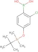 2-Chloro-4-[((1,1-dimethylethyl)dimethylsilyl)oxy]phenylboronicacid