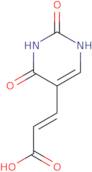 E-5-(2-Carboxyvinyl)uracil