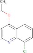 8-Chloro-4-ethoxyquinoline