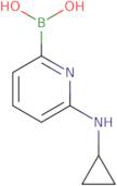 6-(CYCLOPROPYLAMINO)PYRIDINE-2-BORONIC ACID