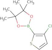 2-(3-Chlorothiophen-2-yl)-4,4,5,5-tetramethyl-1,3,2-dioxaborolane