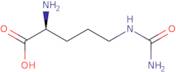 L-Citrulline