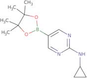 2-Cyclopropylaminopyrimidine-5-boronic acid, pinacol ester